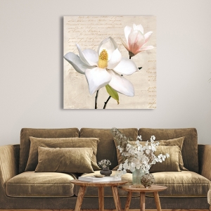 Tableau sur toile, affiche, Magnolia ivoire I de Luca Villa