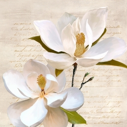 Quadro su tela con fiori, Luca Villa, Ivory Magnolia II