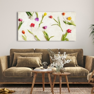 Bright flowers art print and canvas, Cut Tulips by Teo Rizzardi