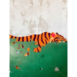Street Art Kunstdrucke, Plaster Tiger von Masterfunk Collective