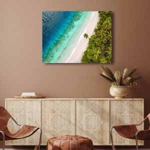 Wall art print and canvas, Tropical Beach, Aerial View