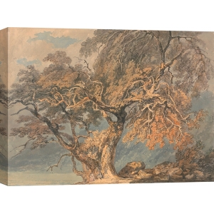 Quadro, stampa su tela William Turner, Un grande albero