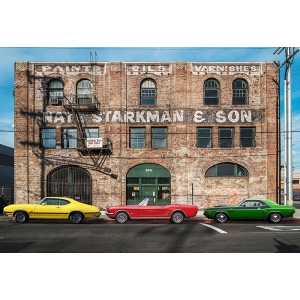 Tableau voitures, Suburban Landscape with muscle cars