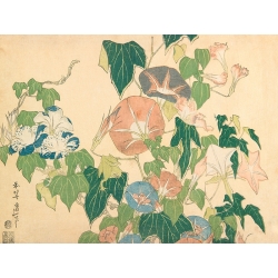 Tableau japonais de Hokusai, Fleurs du matin et grenouille