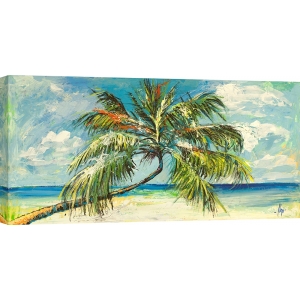 Quadro palme, stampa su tela. Luigi Florio, Palma nel sole