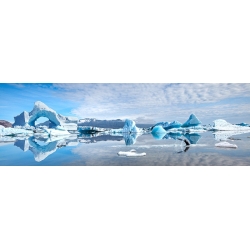 Art print and canvas, Antarctica with Icebergs by  Pangea Images