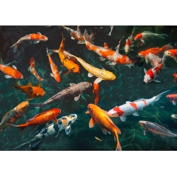Cuadro en lienzo y lámina, Estanque con peces Koi de Teo Rizzardi