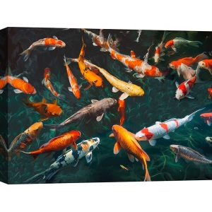 Art print and canvas, Pond with Koi-Fish by Teo Rizzardi