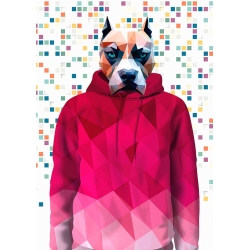 Moderne Tierwandbilder, Hund, Jim Class Hero von Matt Spencer