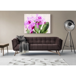Wall art print and canvas. Sergio Jannace, Wild Orchids